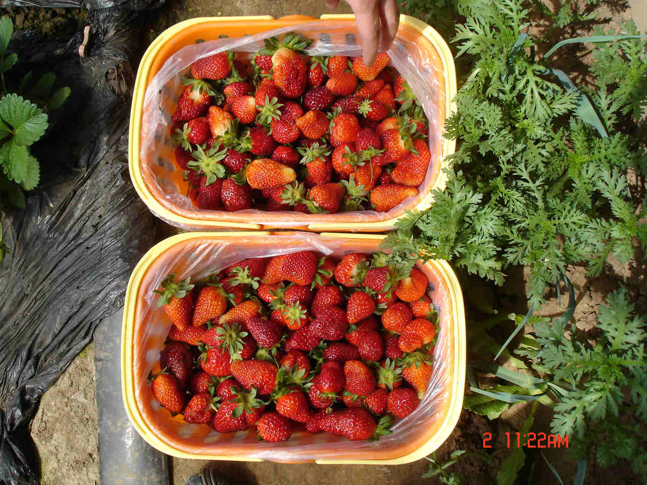 DSC00659_meitu_36.jpg