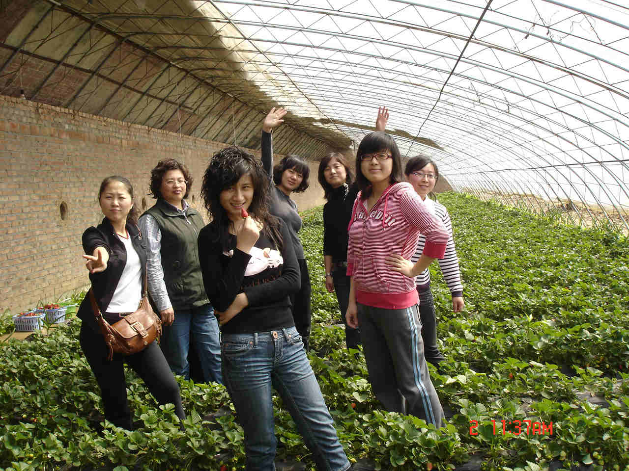 DSC00664_meitu_33.jpg